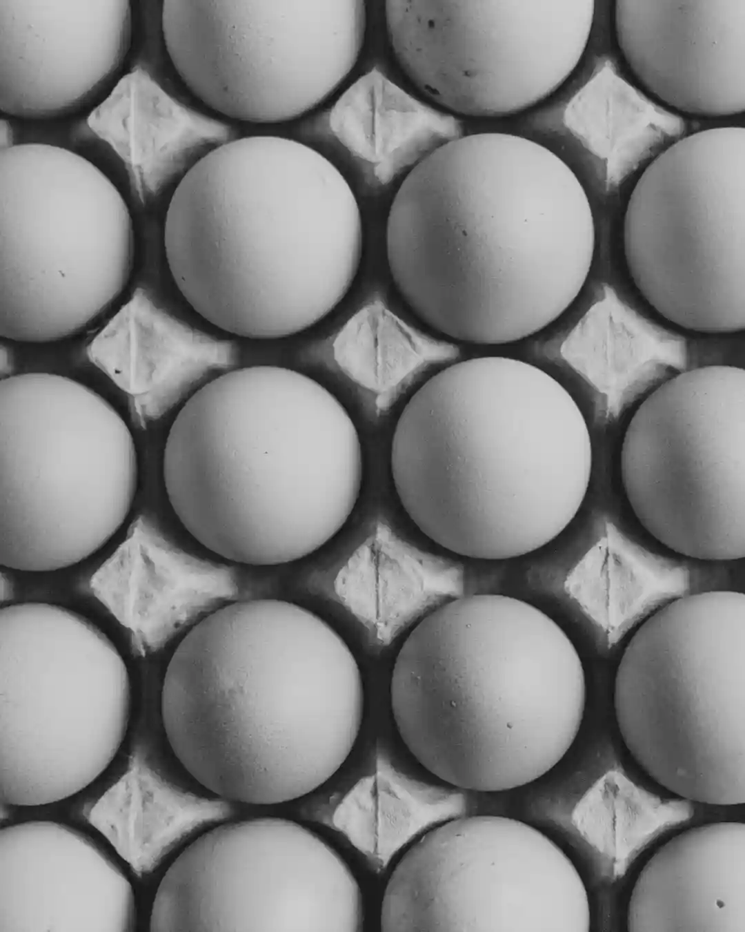 High-protein meal prep with simple ingredients for busy schedules